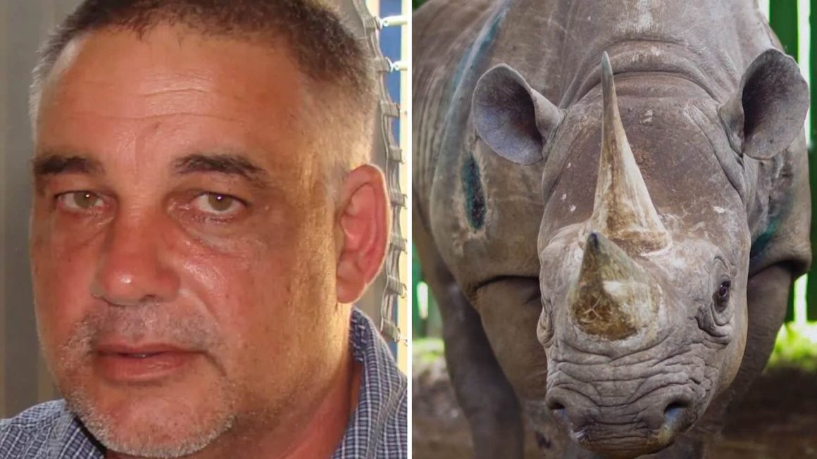 Skyddade djur –  dödades av det