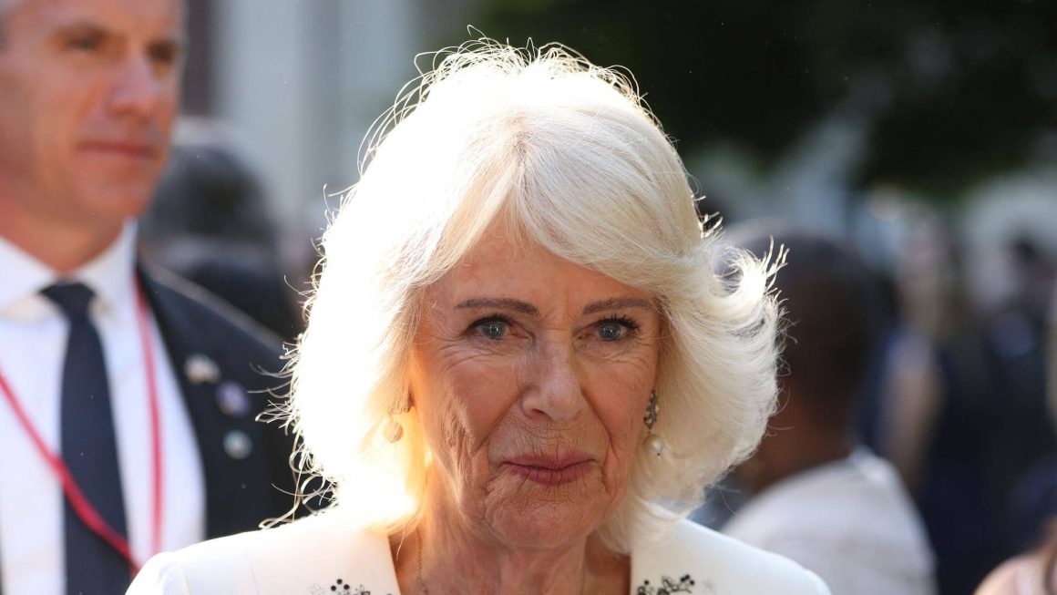 Queen Camilla makes highly relatable confession during US Royal State visit