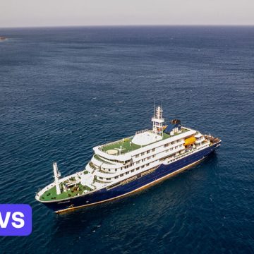 Hantavirus op cruiseschip: wat weten we over het zeldzame maar gevaarlijke virus?