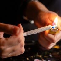 smoking-weed-healthier-with-the-city-of-zurich-authorities-praise-their-own-cannabis-study.jpg Smoking weed healthier with the city of Zurich: Authorities praise their own cannabis study