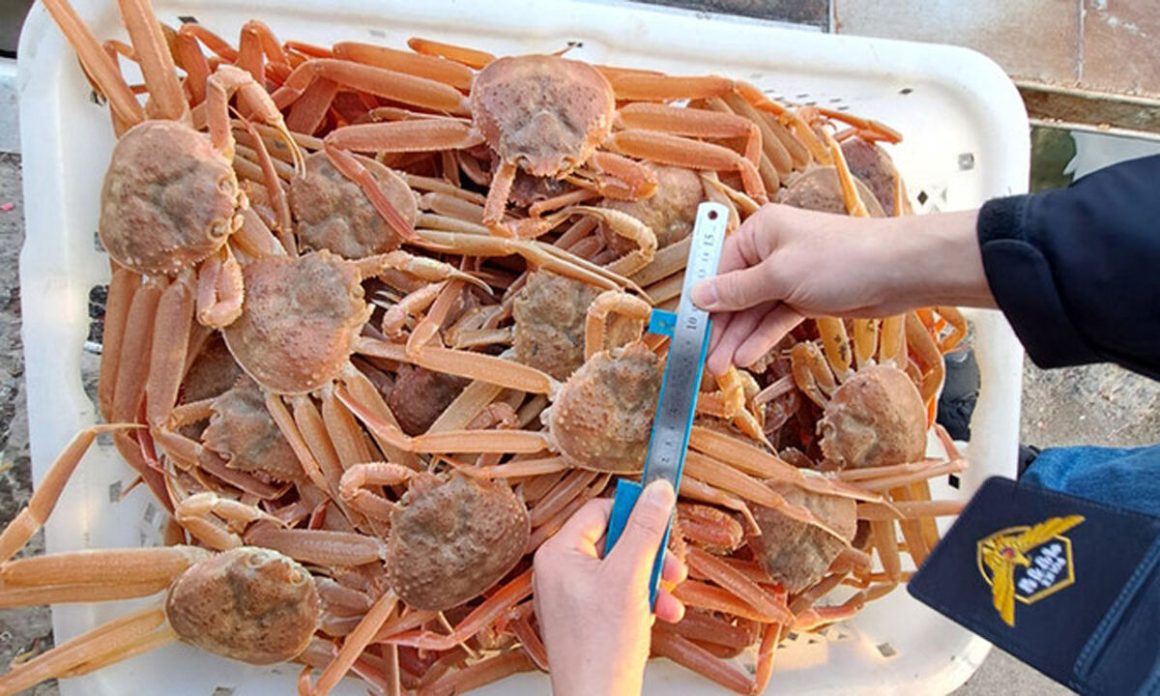 Sentences commuted on appeal for some foreign sailors who caught illegal snow crabs