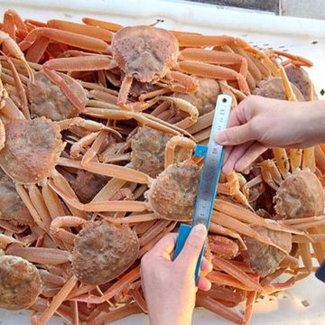 Sentences commuted on appeal for some foreign sailors who caught illegal snow crabs