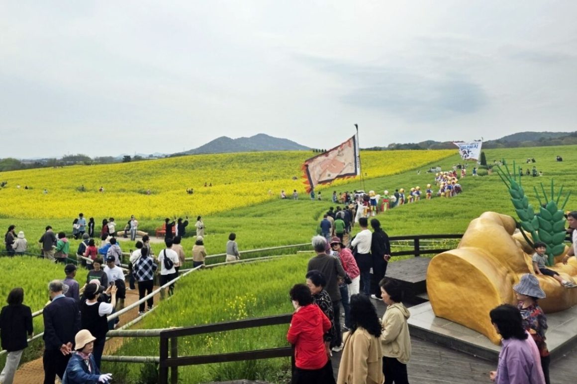 gochang-green-barley-field-festival-was-visited-by-530000-people-and-proved-to-be-the6a0183131672f.jpg Gochang Green Barley Field Festival was visited by 530,000 people and proved to be the ‘No. 1 place for landscape agriculture’