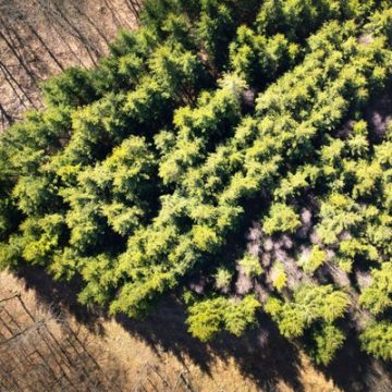 Big list: They own the most forest in north-eastern Scania