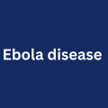Democratic Republic of the Congo confirms new Ebola outbreak, WHO scales up support