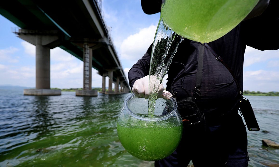 government-conducts-special-inspection-of-open-field-livestock-manure-compost-catch-green-algae.jpg Government conducts special inspection of ‘open field livestock manure compost’… Catch green algae