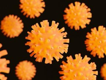 3-positive-hantavirus-cases-detected-in-dki-jakarta-health-office-monitors-6-suspects.jpg 3 Positive Hantavirus Cases Detected in DKI Jakarta, Health Office Monitors 6 Suspects