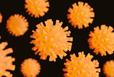 3-positive-hantavirus-cases-detected-in-dki-jakarta-health-office-monitors-6-suspects.jpg 3 Positive Hantavirus Cases Detected in DKI Jakarta, Health Office Monitors 6 Suspects